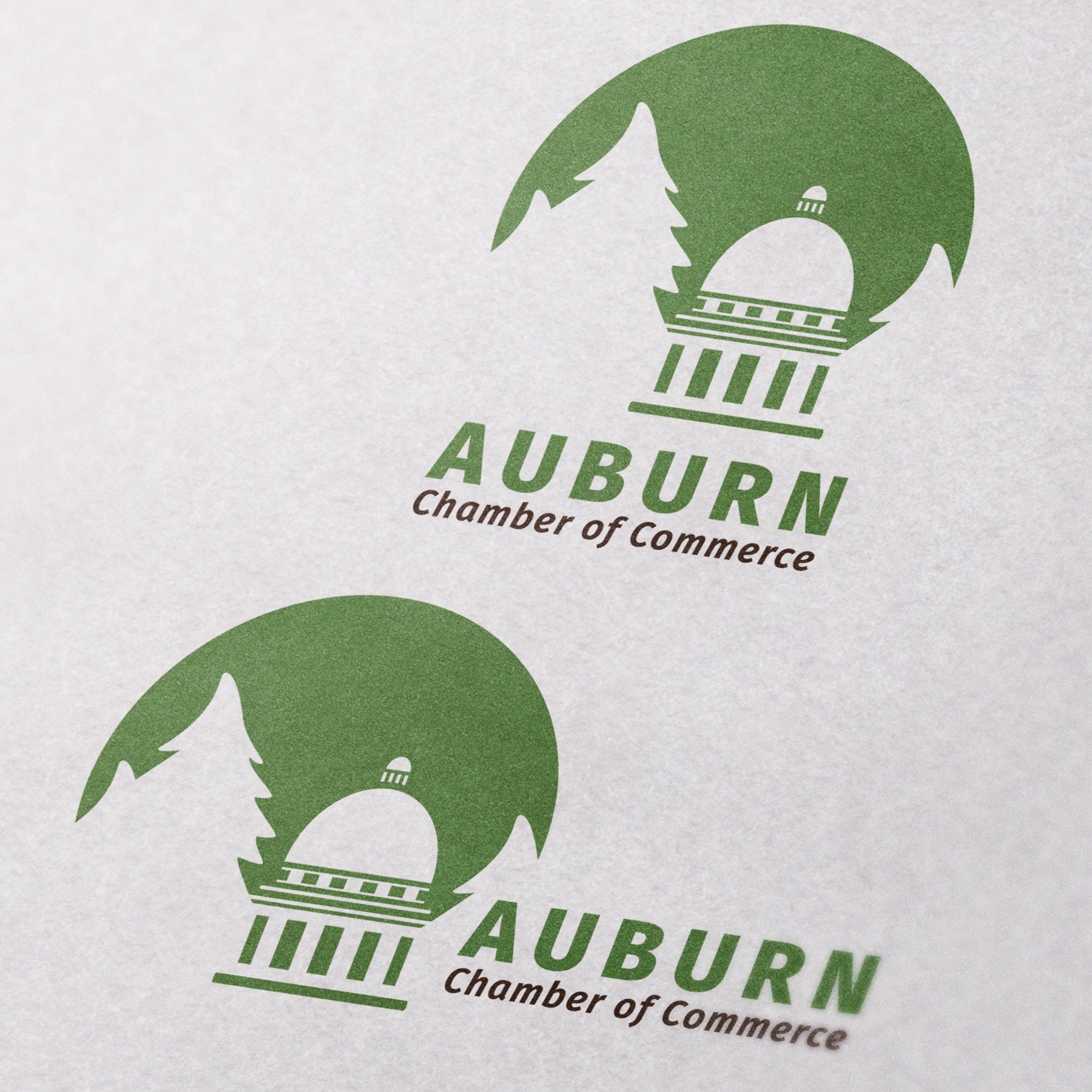 Auburn Chamber of Commerce Business Cards